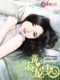 七夜宠妻沈司夜池茵免费阅读