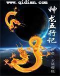神龙五心行动