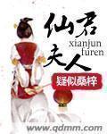 仙君夫人h