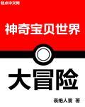 神奇宝贝之大世界