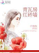 青瓦红砖是什么意思