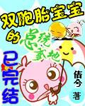 双胞胎总裁老婆合集