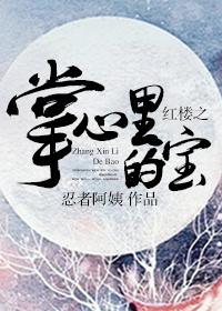 红楼之掌心里的宝文心