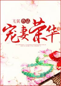 宠妻荣华慕容南成亲