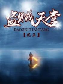 盗贼t1