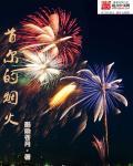 首尔跨年烟花在哪