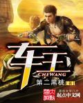车王s21