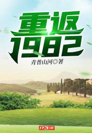 重返1982从收废品开始