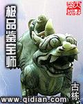 极品鉴宝师秦枫免费阅读