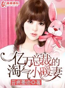 亿万总裁的淘气小暖妻苔痕墨迹番外