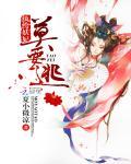 纨绔妖妃强缭腹黑魔帝