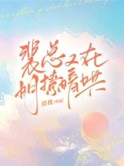 裴总是那本