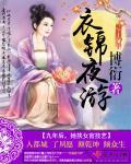 衣锦夜行综玫