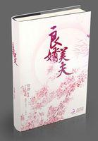 良婿美夫未删减