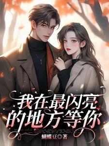 我最闪亮的歌词作者