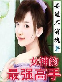 女神的最强高手叶皓辰免费阅读
