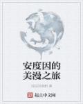 安度因去哪了