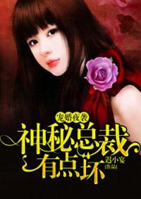 宠妻狂魔隐婚总裁撩上瘾免费