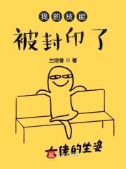 有技能封印技能从者