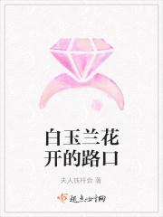 白玉兰花开花的图片