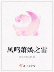 凤鸣苍穹萧七爷免费阅读