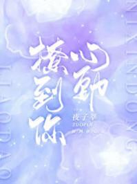 撩到你心动免费阅读
