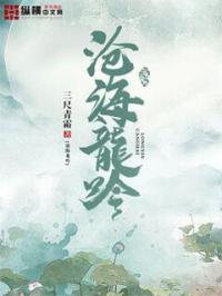 沧海龙吟答案