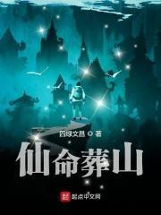 仙命葬山宜忌