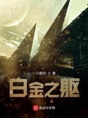 白金之躯起点