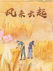 风起云走是什么意思