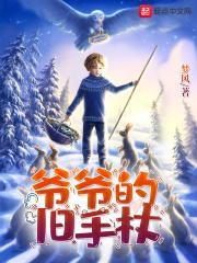 爷爷的手500字作文