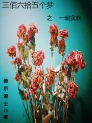 三百六十五个梦