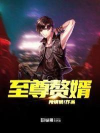 至尊神医赘婿