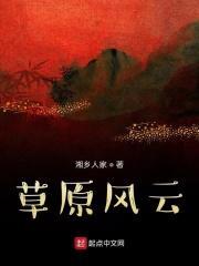 电影草原风暴