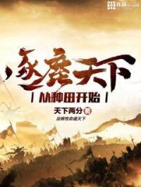 逐鹿天下规则
