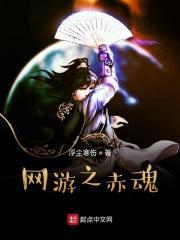 网游赤魂龙域