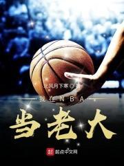 我在nba 当大佬