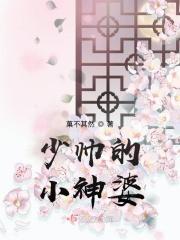 少帅的小老婆