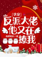 快穿反派大佬又宠又撩