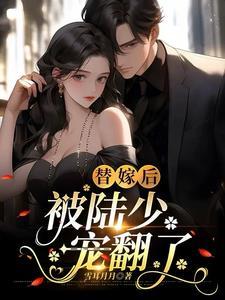 陆少的替嫁娇妻