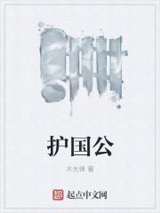 护国公相当于现在的什么职位