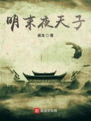 夜天子最后当几品官
