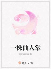 一盆仙人掌多重