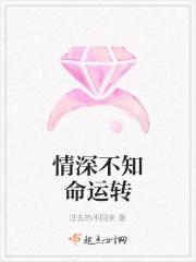 情深不知你