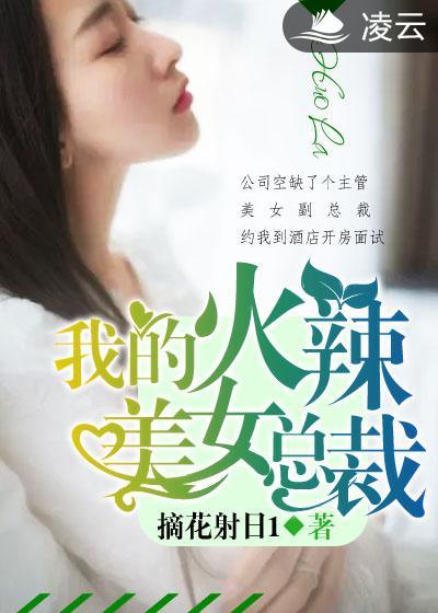 我的火辣美女总裁方芳江南txt