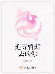 追寻逝去的什么作文