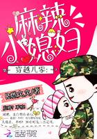 穿越重生八零麻辣军嫂