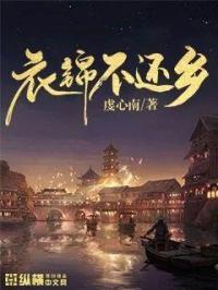 衣锦还乡的衣是什么意思