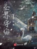 圣界之上是什么界