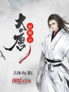 大唐好相公几个后宫